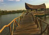 Along Thai Bay: Ranong, Koh Phayam, Chumphon