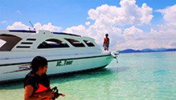 One Day: Emerald Heart Island