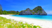 One Day: Emerald Heart Island