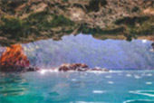 One Day: Emerald Heart Island