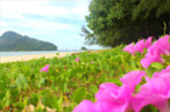 Islands of Ranong 3 Days 2 Nights