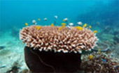 Islands of Ranong 3 Days 2 Nights