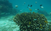 Islands of Ranong 3 Days 2 Nights