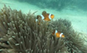 Islands of Ranong 3 Days 2 Nights