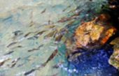 Islands of Ranong 3 Days 2 Nights