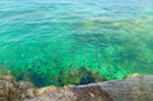 The Ultimate Package: Exploring Koh Tao and Koh Phangan