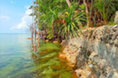 The Ultimate Package: Exploring Koh Tao and Koh Phangan