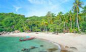 The Ultimate Package: Exploring Koh Tao and Koh Phangan