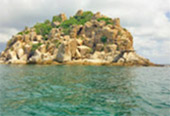 The Ultimate Package: Exploring Koh Tao and Koh Phangan