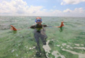 The Ultimate Package: Exploring Koh Tao and Koh Phangan