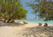 The Ultimate Package: Exploring Koh Tao and Koh Phangan