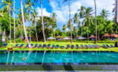 The Ultimate Package: Exploring Koh Tao and Koh Phangan