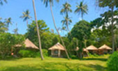 The Ultimate Package: Exploring Koh Tao and Koh Phangan