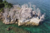 The Ultimate Package: Exploring Koh Tao and Koh Phangan