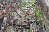 The Ultimate Package: Exploring Koh Tao and Koh Phangan