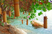 The Ultimate Package: Exploring Koh Tao and Koh Phangan