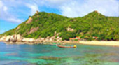 Extra Day on Koh Tao – Full-Day Private Snorkeling Tour