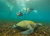 Koh Tao and Nang Yuan Inclusive 3 Days 2 Nights