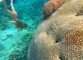 Koh Tao and Nang Yuan Inclusive 3 Days 2 Nights