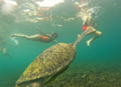 Koh Tao and Nang Yuan Inclusive 3 Days 2 Nights