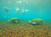 Koh Tao and Nang Yuan Inclusive 3 Days 2 Nights
