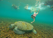Koh Tao and Nang Yuan Inclusive 3 Days 2 Nights