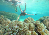 Koh Tao and Nang Yuan Inclusive 3 Days 2 Nights