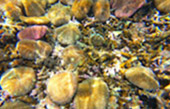 Koh Tao and Nang Yuan Inclusive 3 Days 2 Nights
