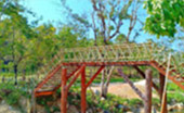 Coral and Lotus 3 Days 2 Nights Trang Pattalung