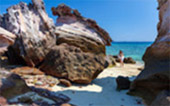 3 Egg Islands, One Day Snorkeling
