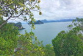 The Island Sapiens. 4 Days 3 Nights